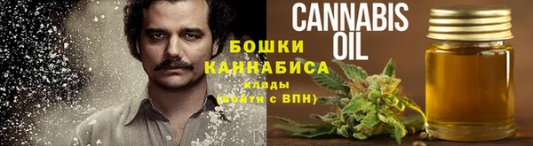 индика Армянск