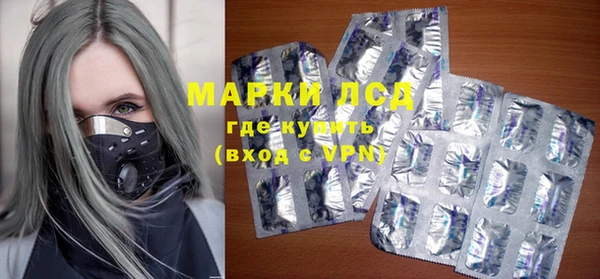 стаф Алексин