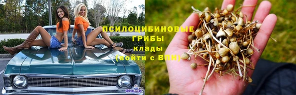 мдпв Арсеньев