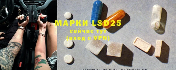 индика Армянск
