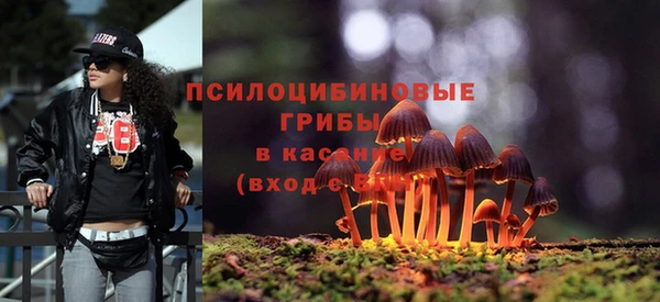 apvp Балабаново
